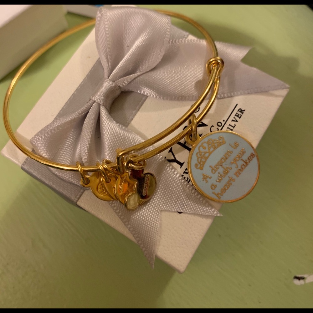 Alex and Ani Disney Bracelet